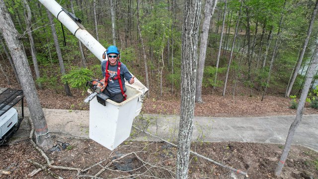 Fishers Tree Service Team