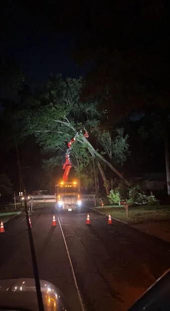 24-hour emergency tree service