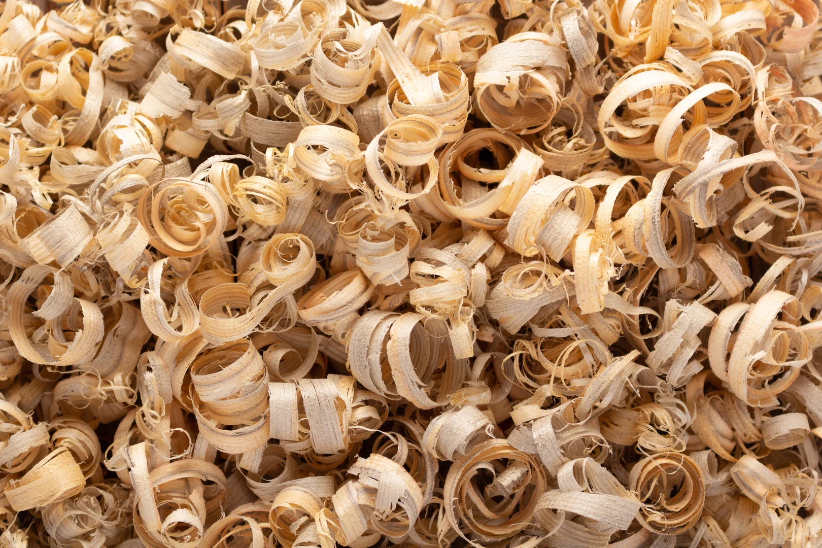 Wood Shavings